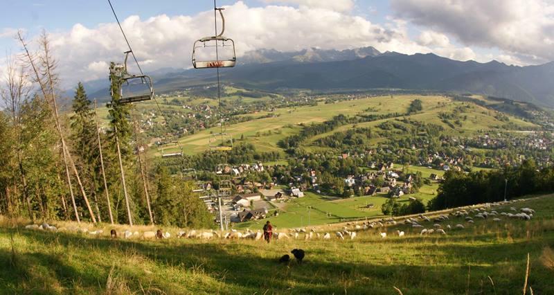 Pokoje U Zoskip Leilighet Zakopane Eksteriør bilde